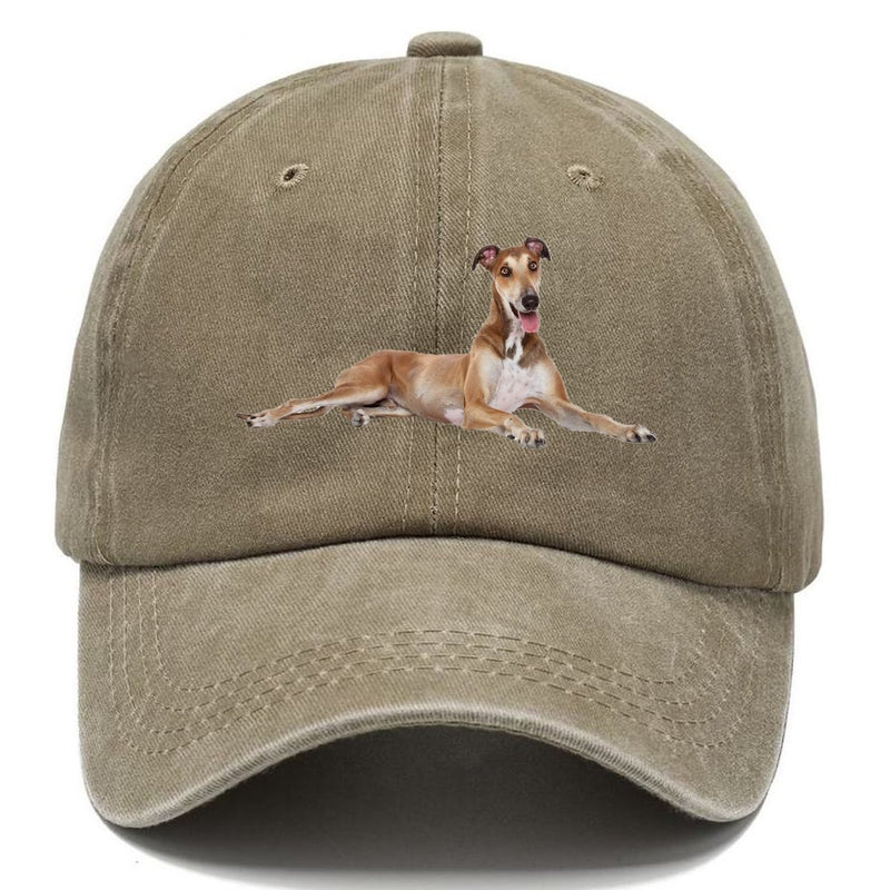 Greyhound Classic Cap