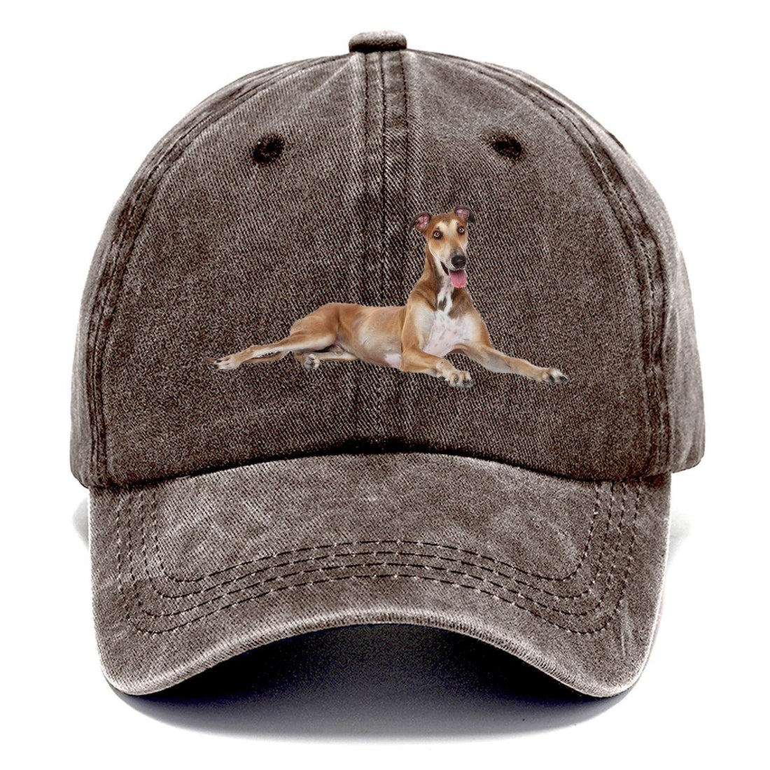 Greyhound Classic Cap