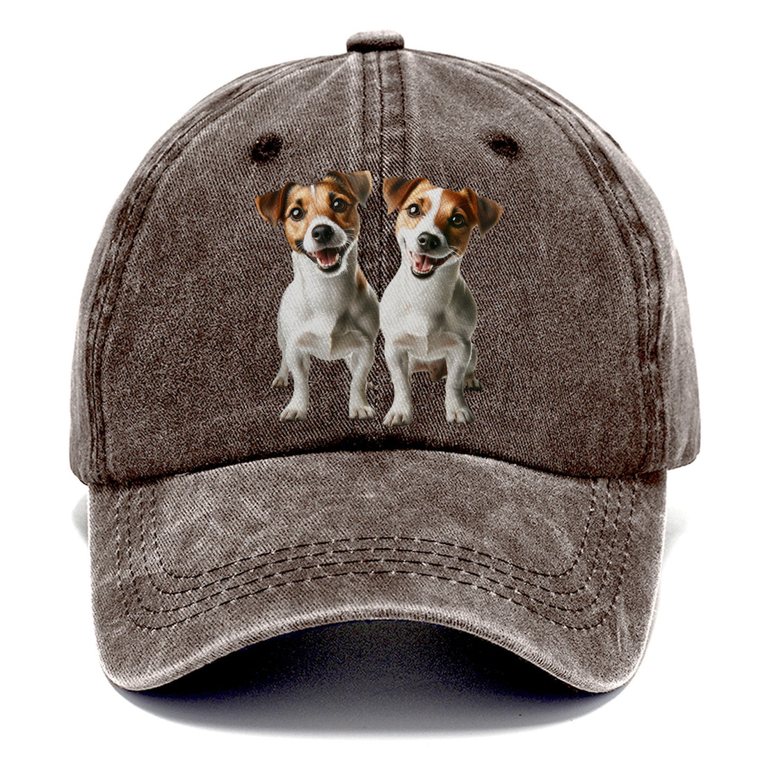 Two Jack Russels Classic Cap
