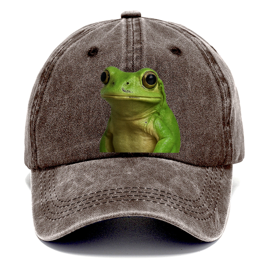 Frog Portrait Design Classic Cap