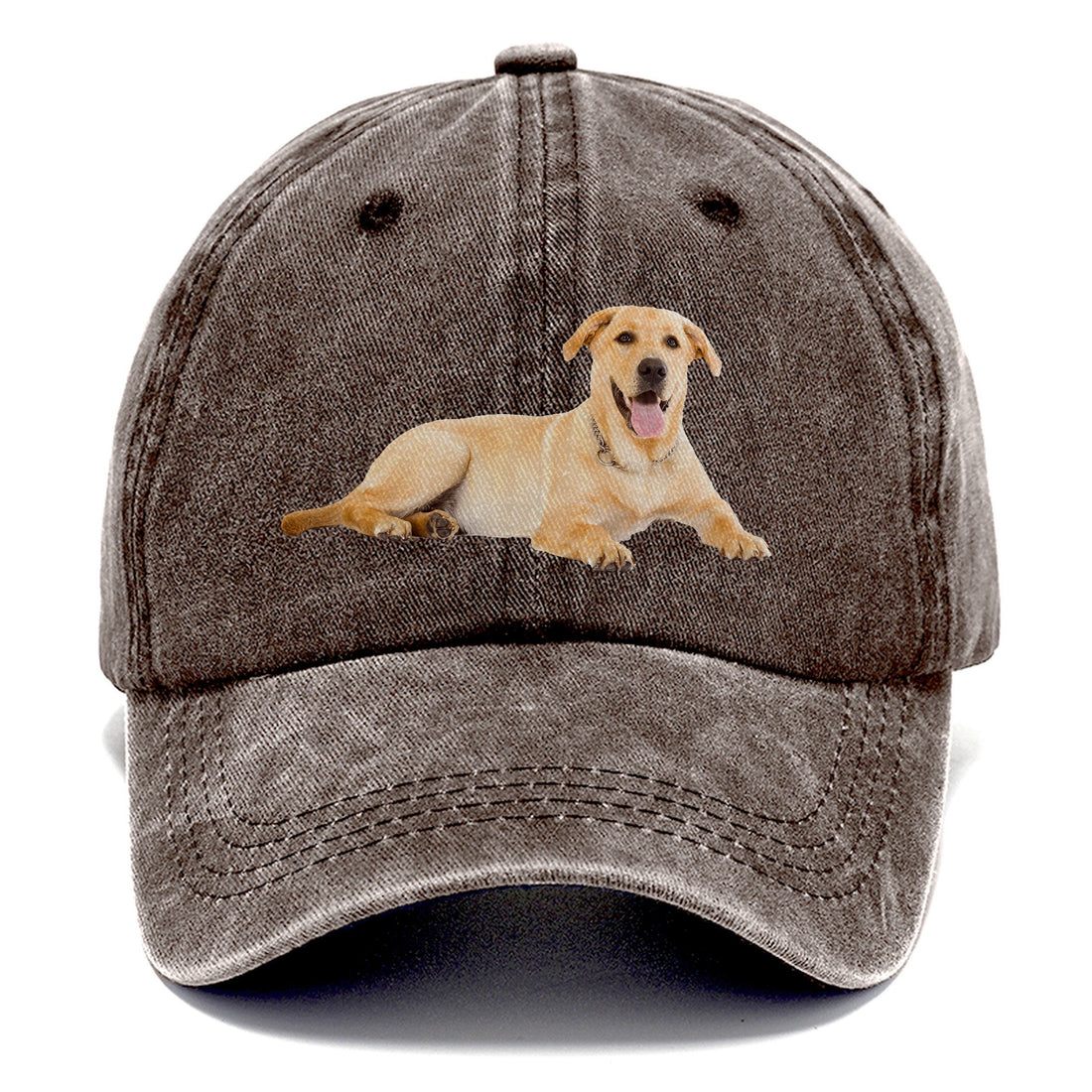 Labrador Laying Down Classic Cap