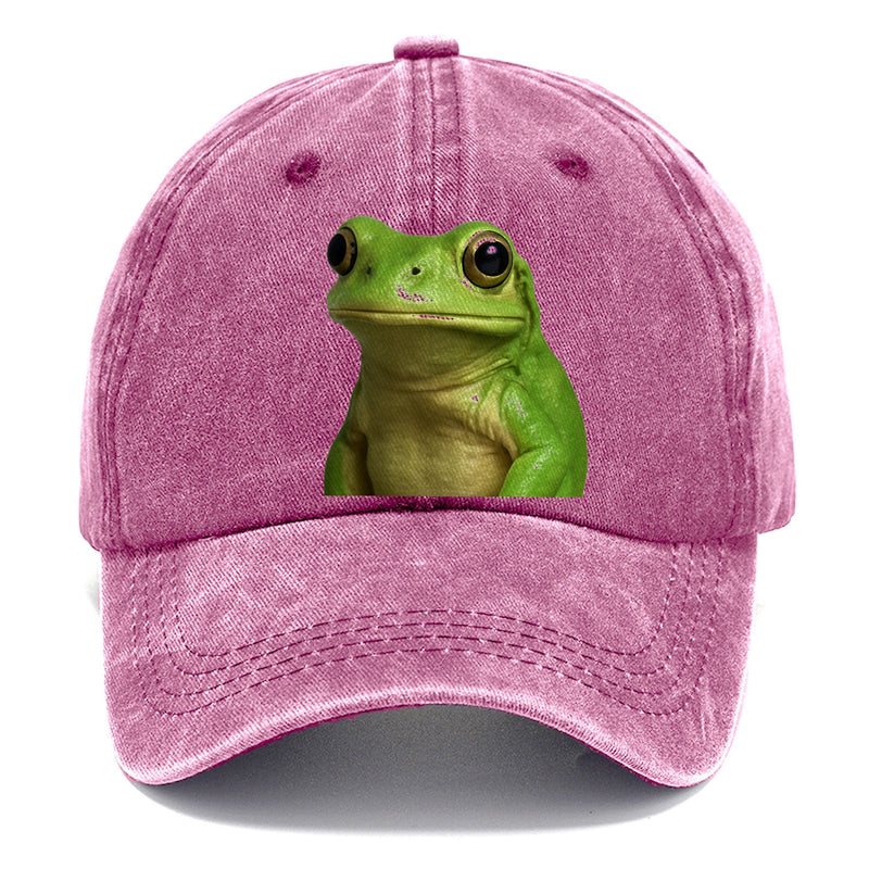 Frog Portrait Design Classic Cap
