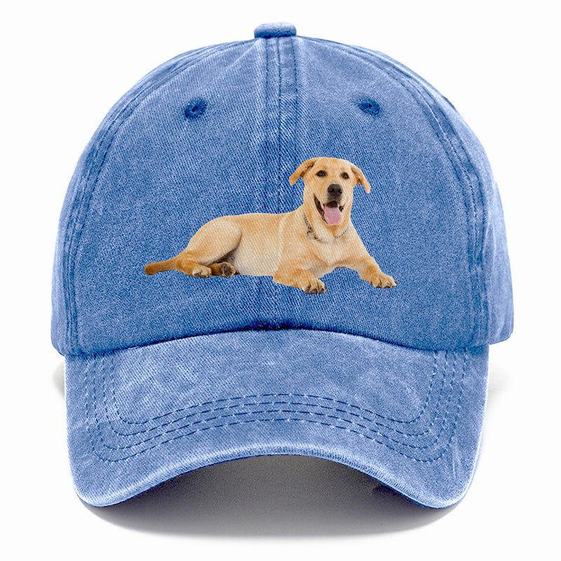 Labrador Laying Down Classic Cap