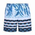 1038 blue and white