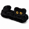 Black and gold eyed cat
