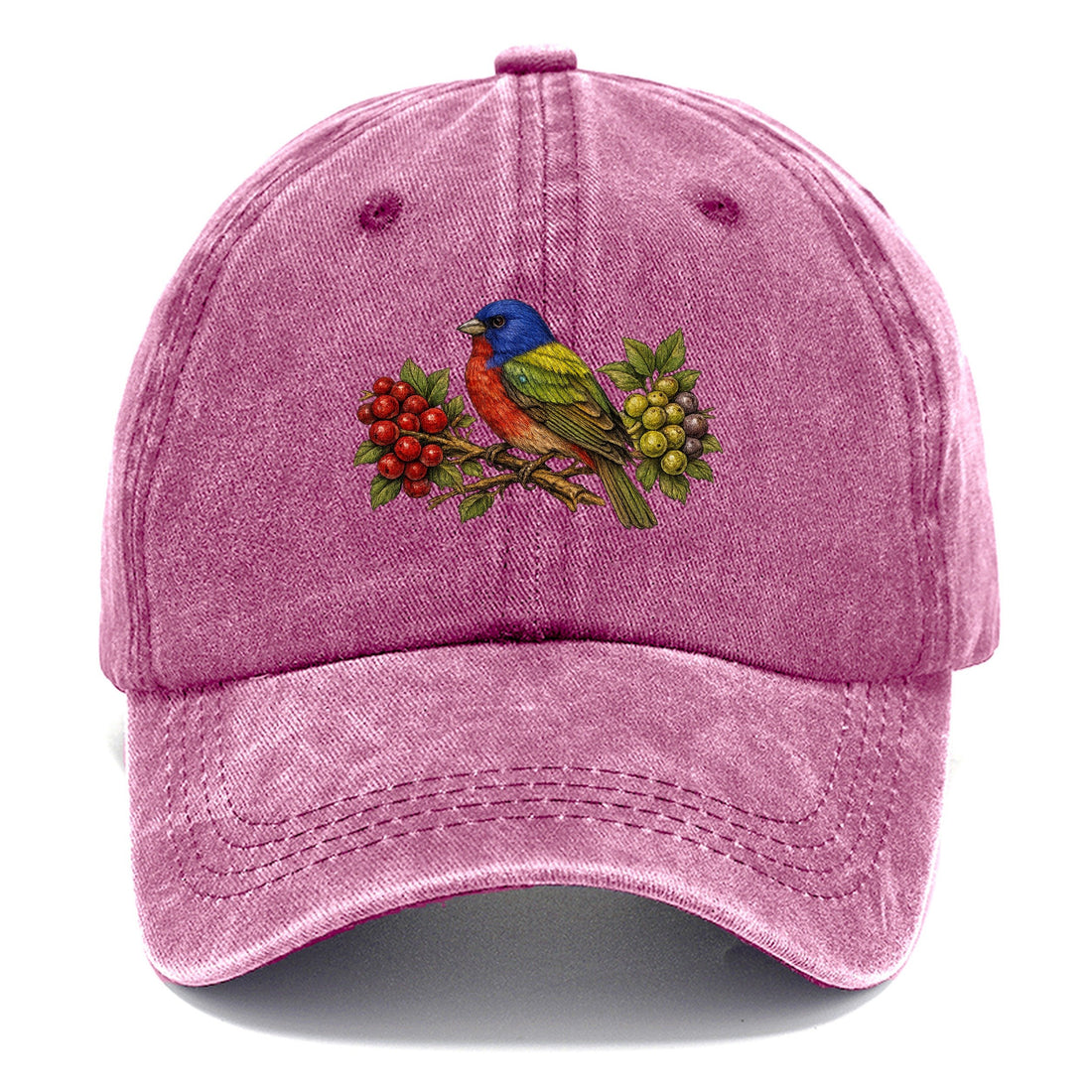 Painted Bunting Jewel Plumage Muted Through Classic Cap