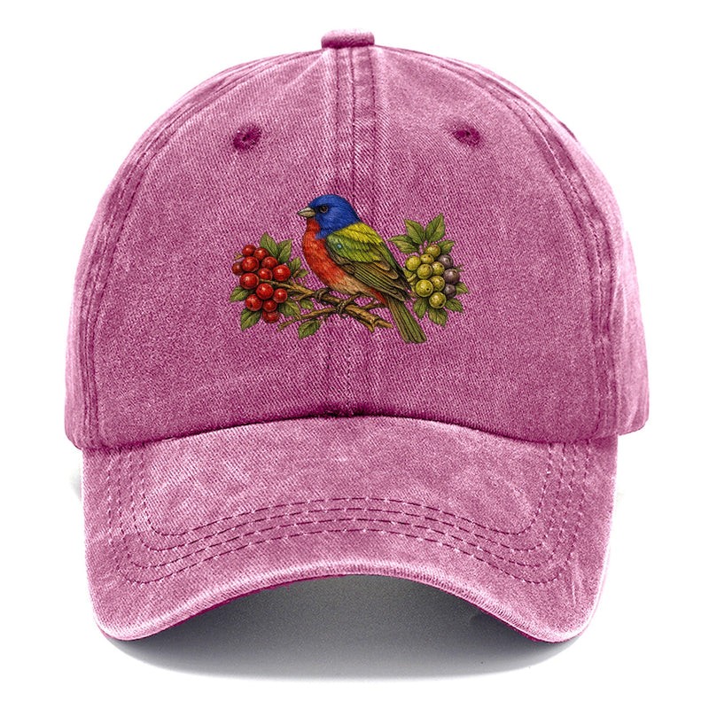Painted Bunting Jewel Plumage Muted Through Classic Cap
