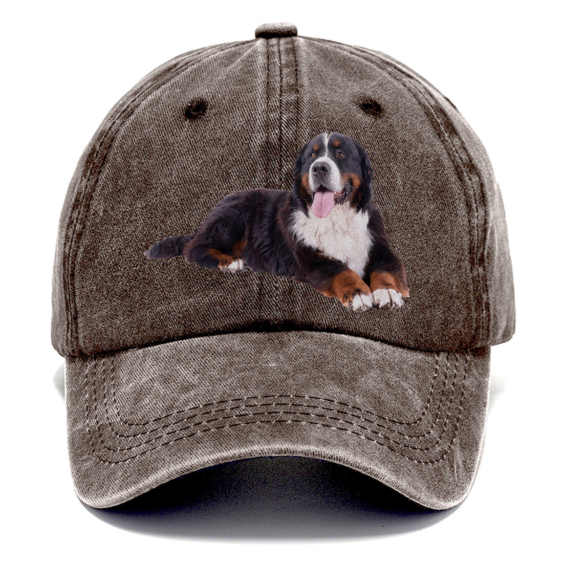 Bernese Mountain Dog Classic Cap