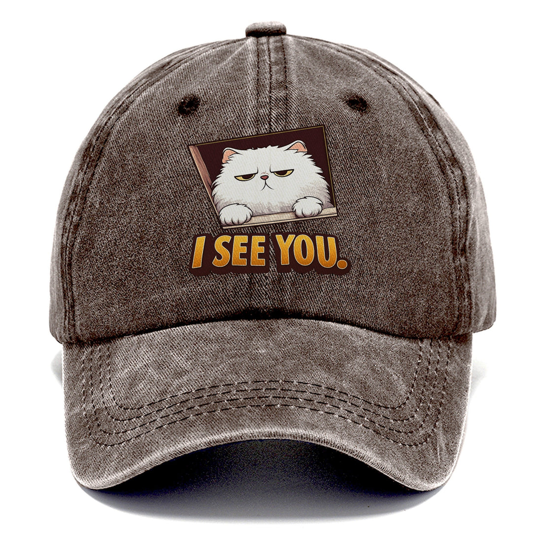 Mochi Reenacts Ceiling Cat Meme Mochi's Classic Cap