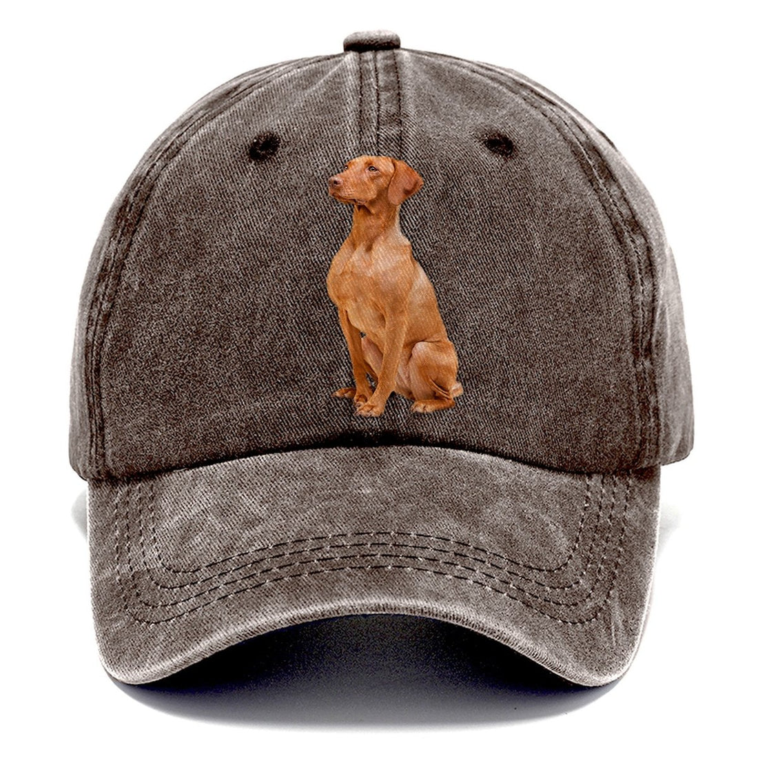 Vizsla Classic Cap