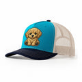 Teal navy