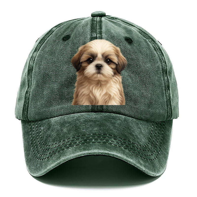 Baby Shih Tzu Puppy Long Flowing Coat Flat Face Big Dark Eyes Front Facing Classic Cap
