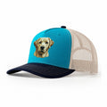 Teal navy