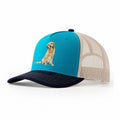 Teal navy
