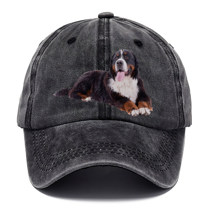 Bernese Mountain Dog Classic Cap