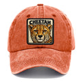 Terracotta clay