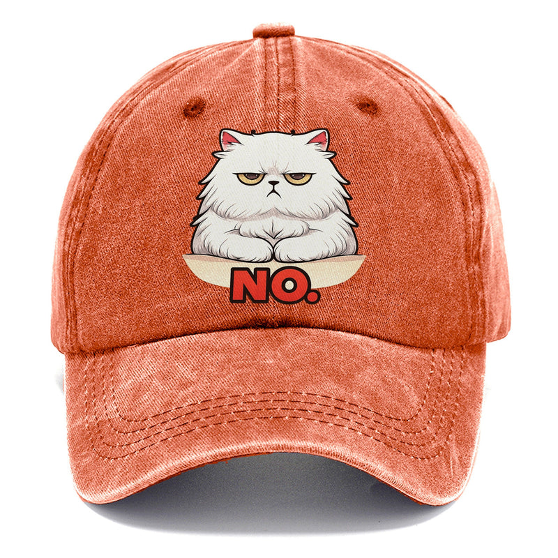Mochi Reenacts Grumpy Cat Meme Front Classic Cap